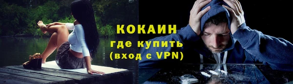 PSILOCYBIN Горнозаводск