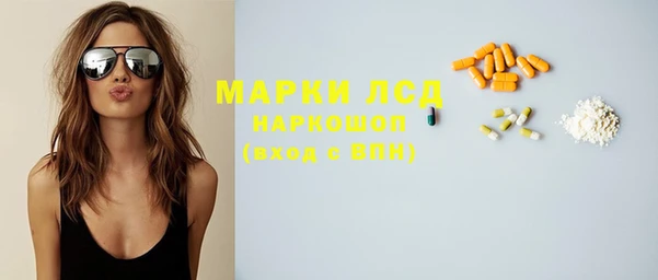 PSILOCYBIN Горнозаводск