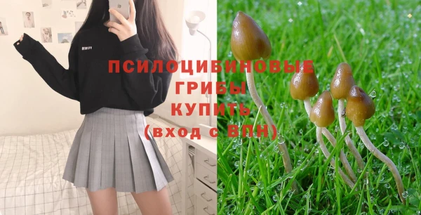 героин Горняк