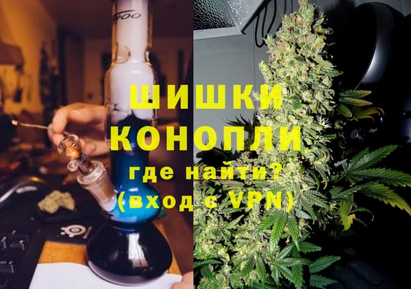 PSILOCYBIN Горнозаводск