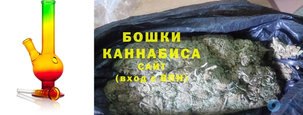 PSILOCYBIN Горнозаводск