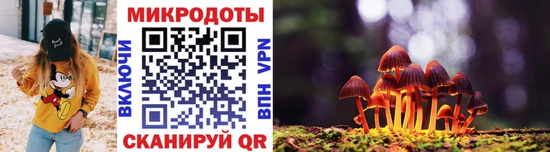 Купить закладки  Орск  Псилоцибиновые грибы Psilocybe 